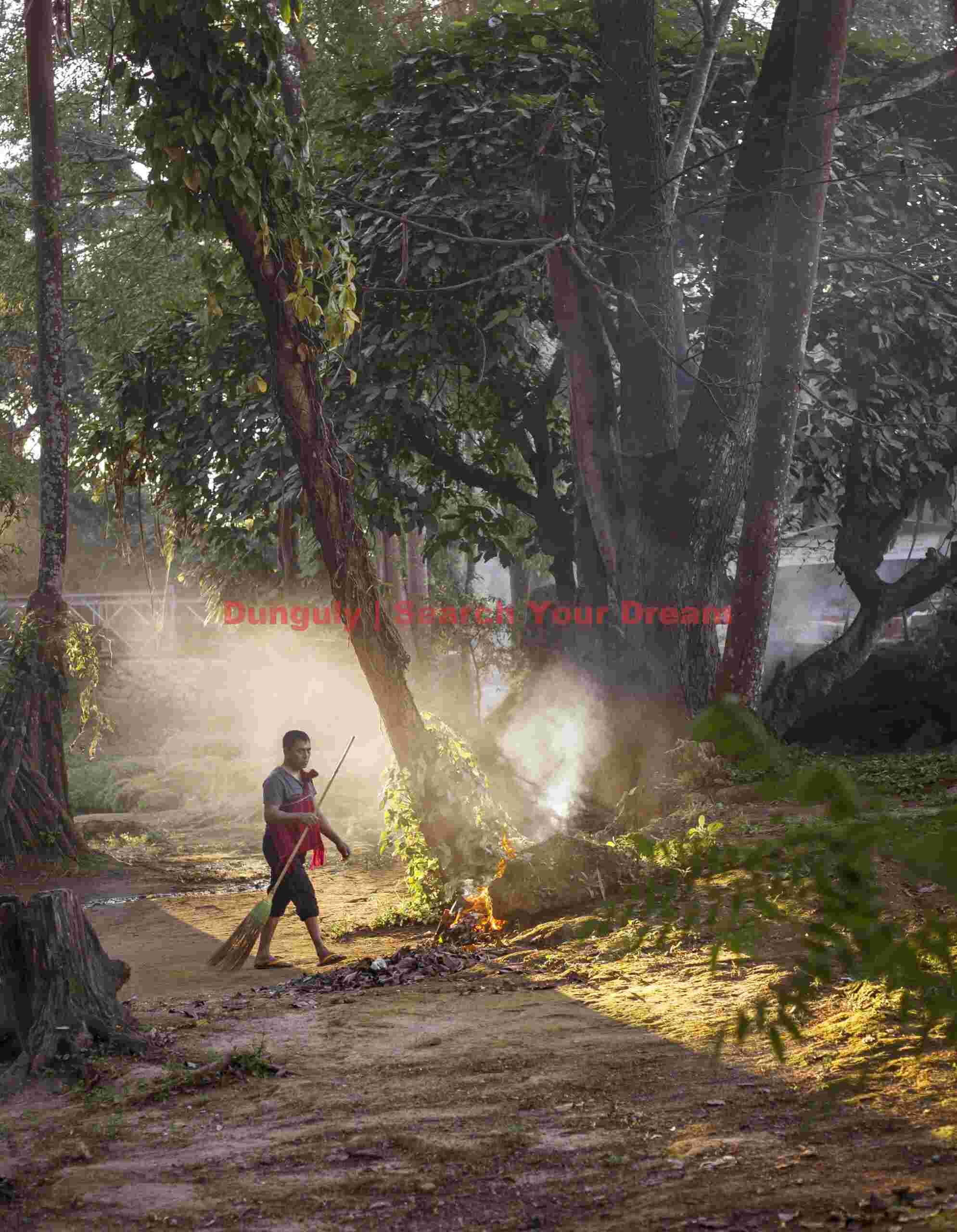 Burning leaves on the riverbank