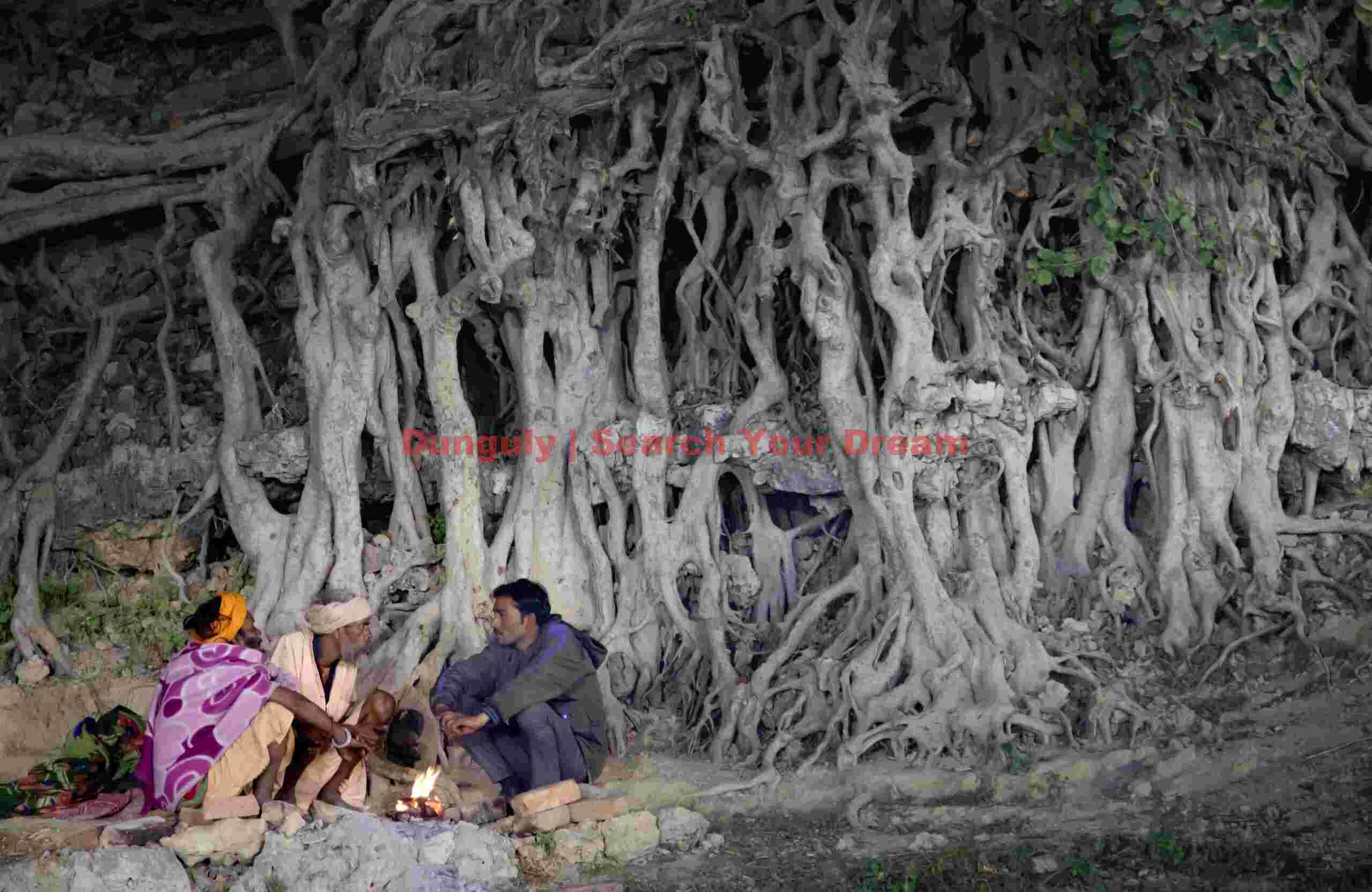 Campfire by roots on the bank of the Ganges