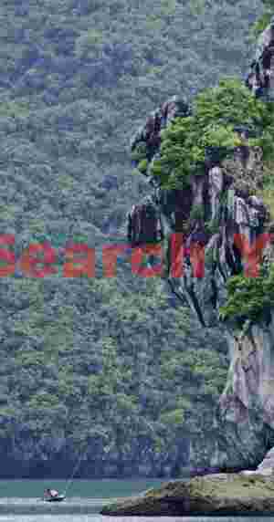 Cliff and hanging forrest