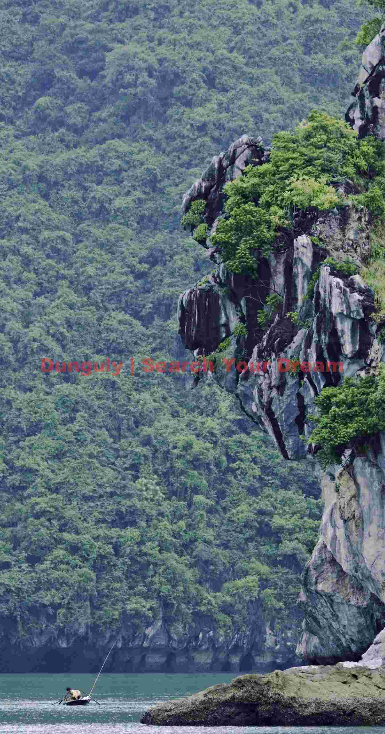 Cliff and hanging forrest