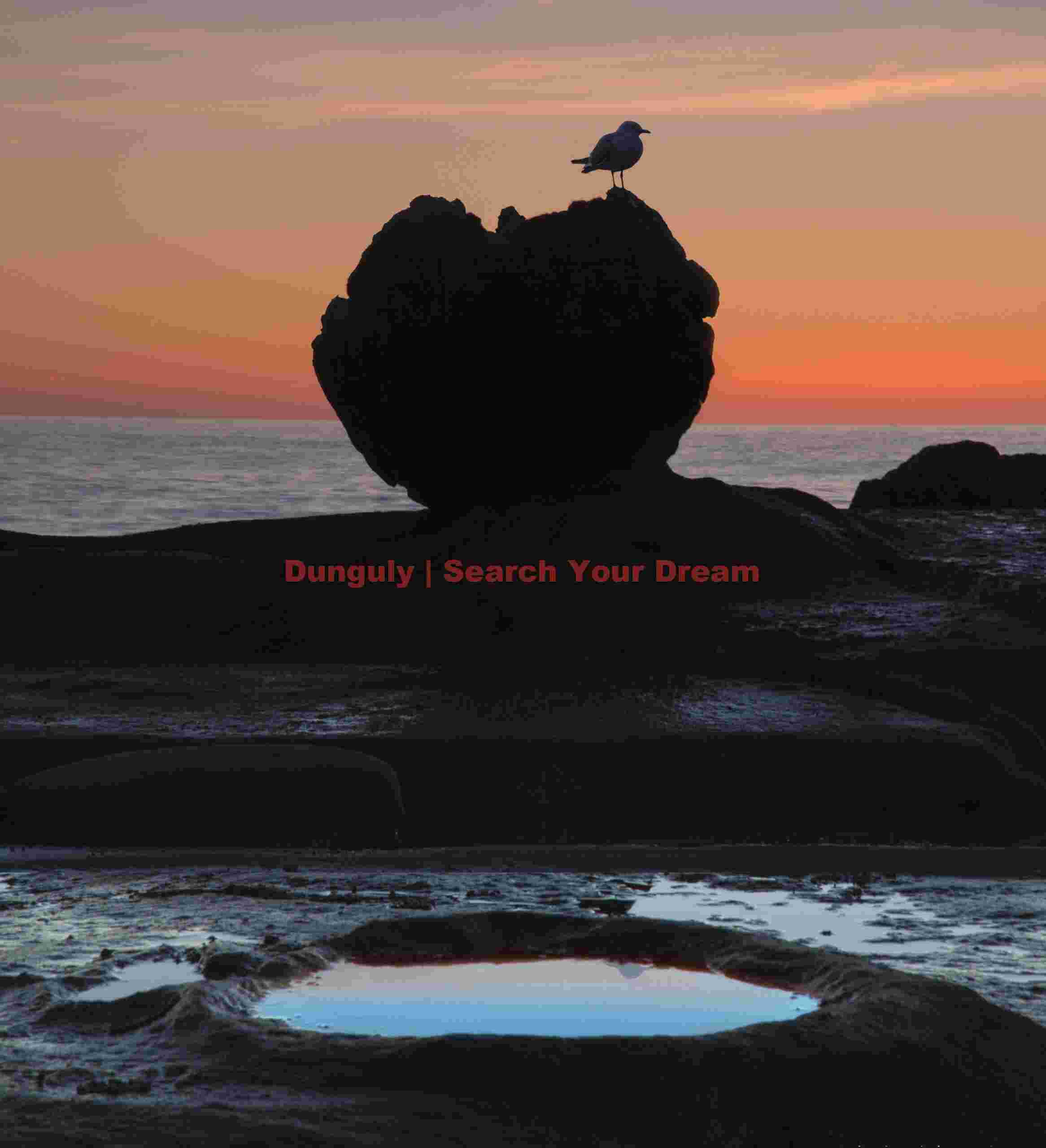 Dawn sky, seagull, Kataki boulder and caldera reflection