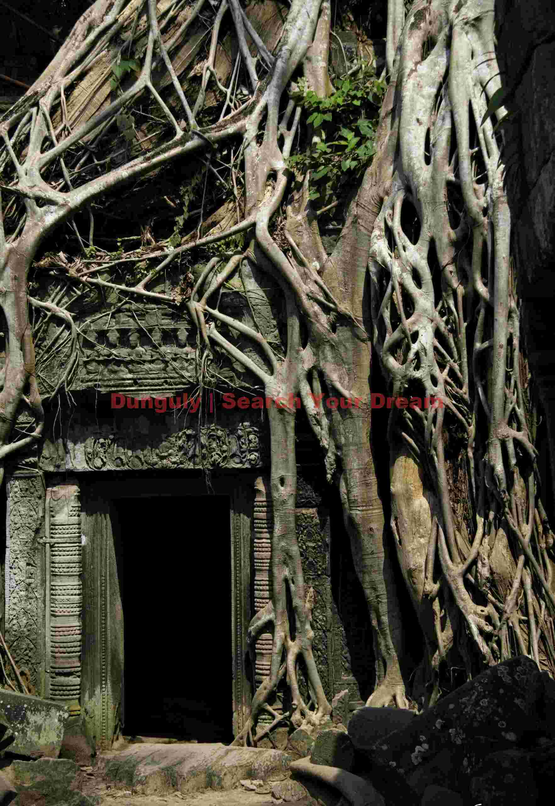 Doorway and roots