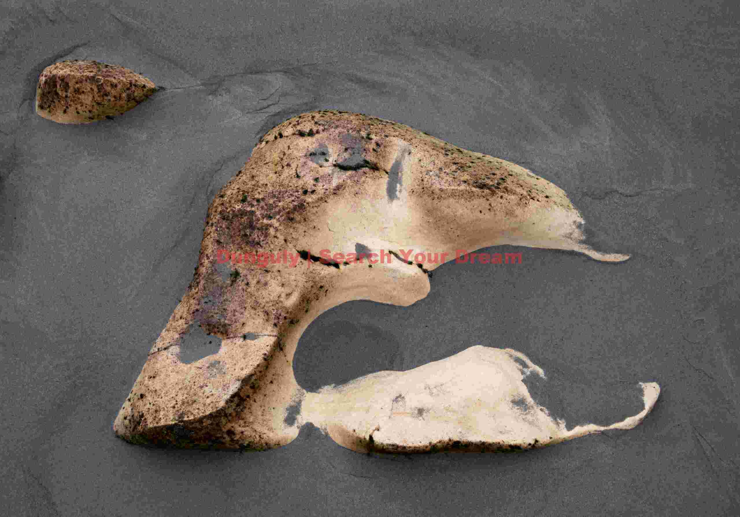 Exposed rock on black sand