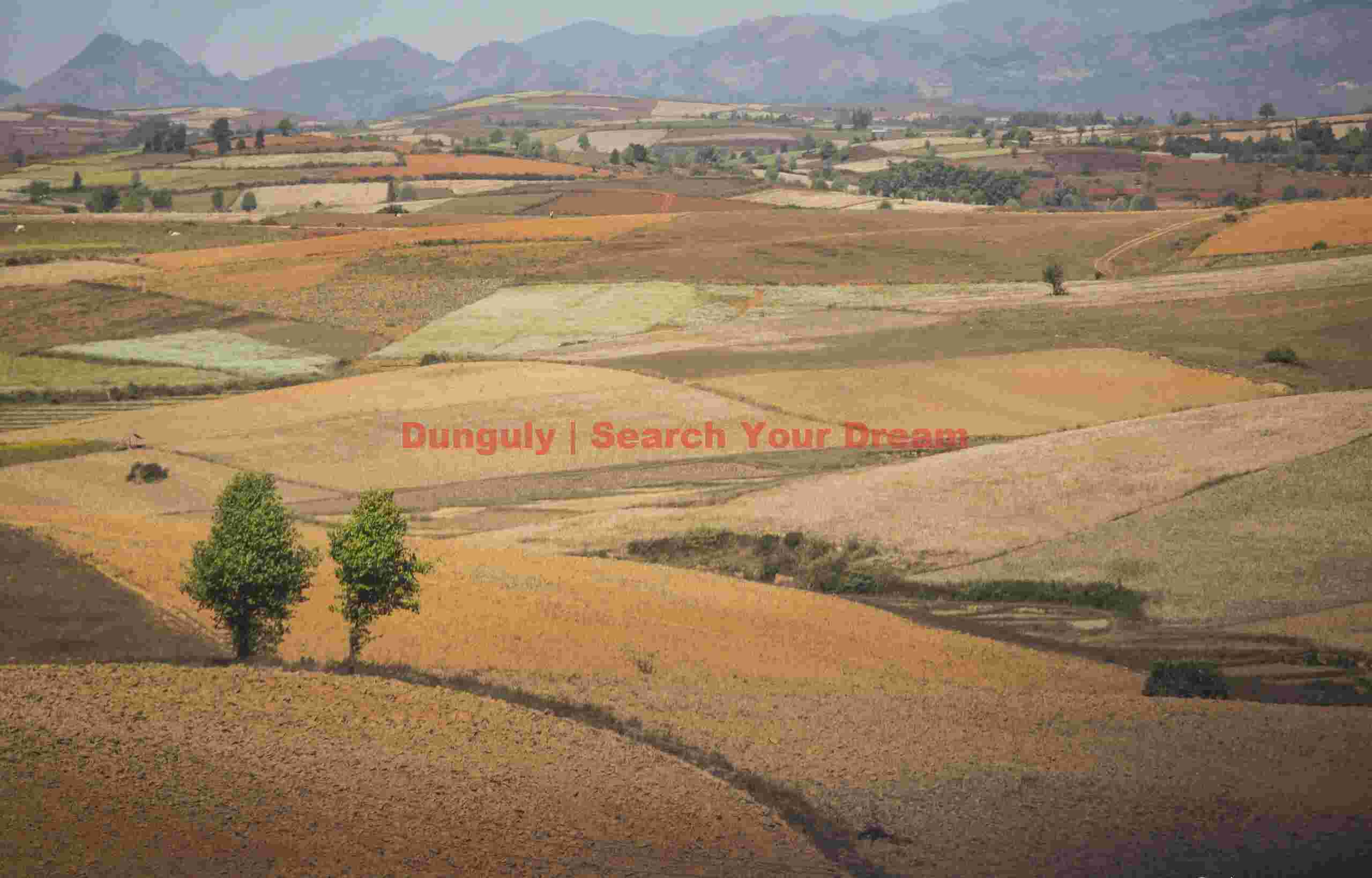 Fields of fertile red soil