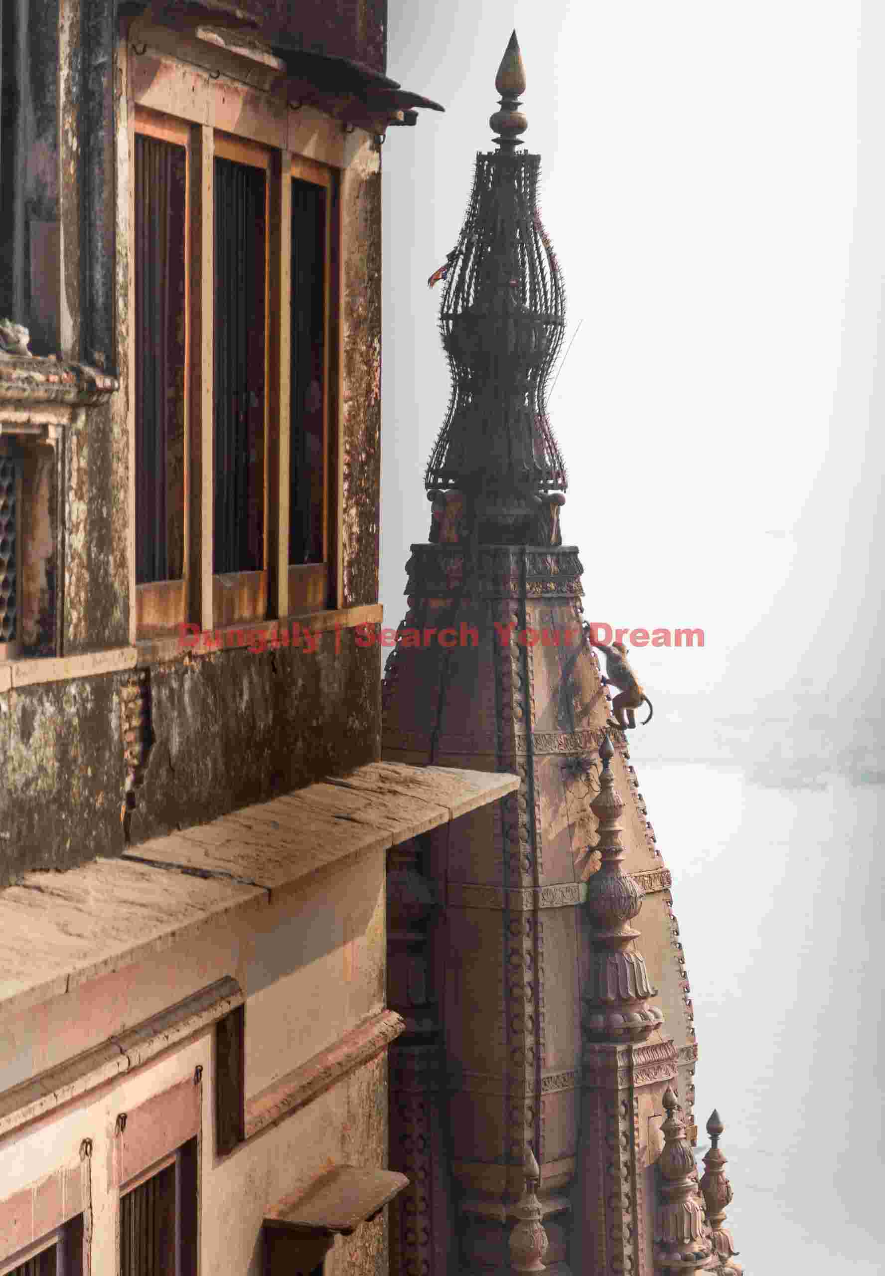 From our bedroom window - Brijrama Palace