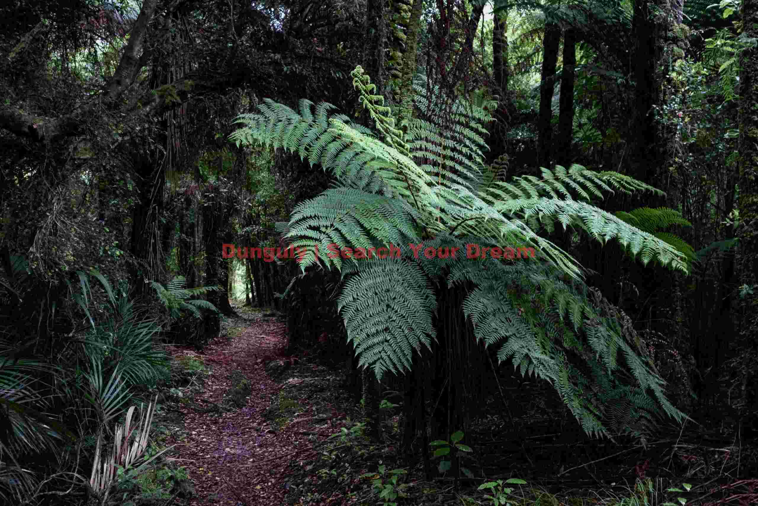 Giant fern along path
