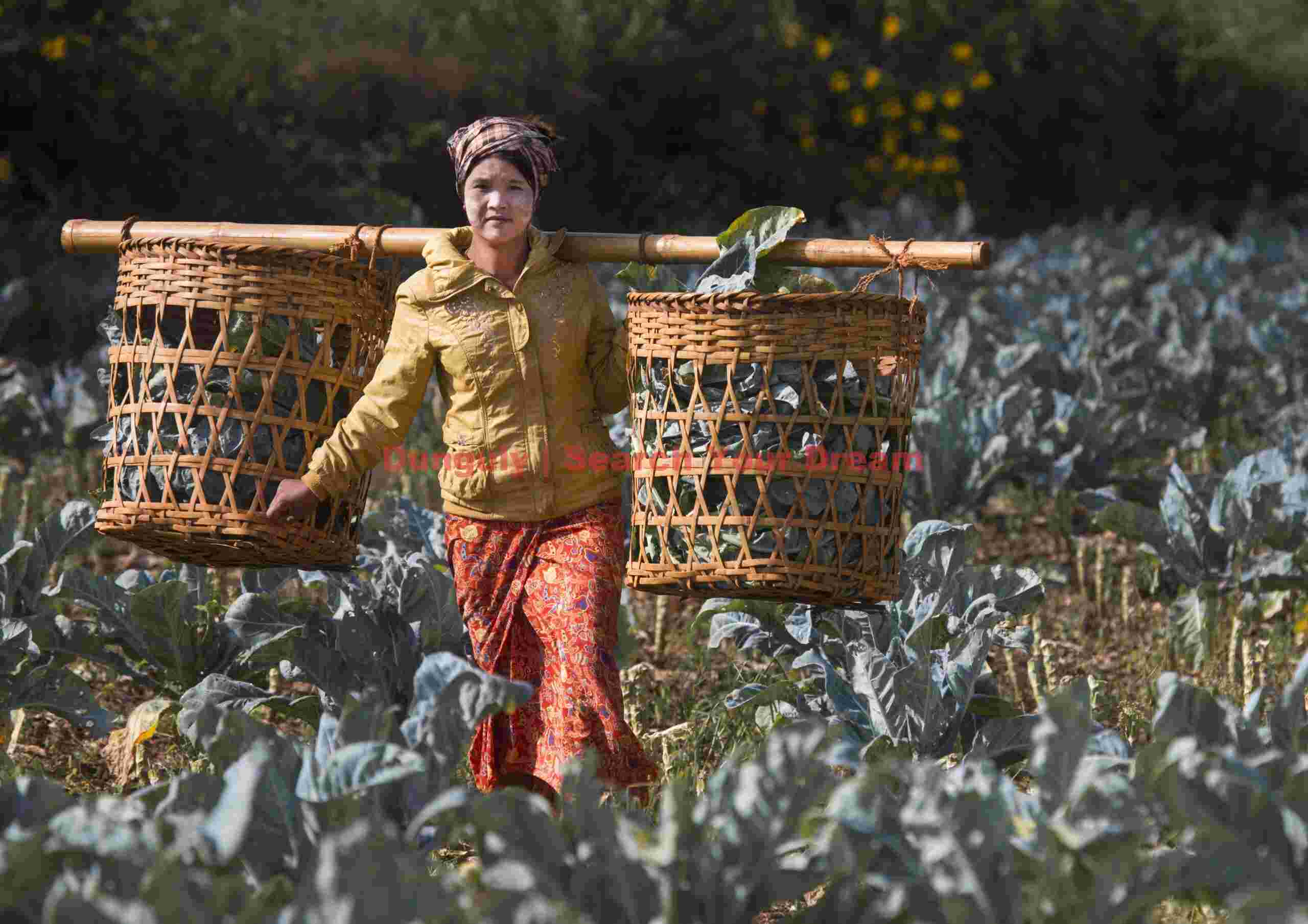 Girl carrying shoulder baskets