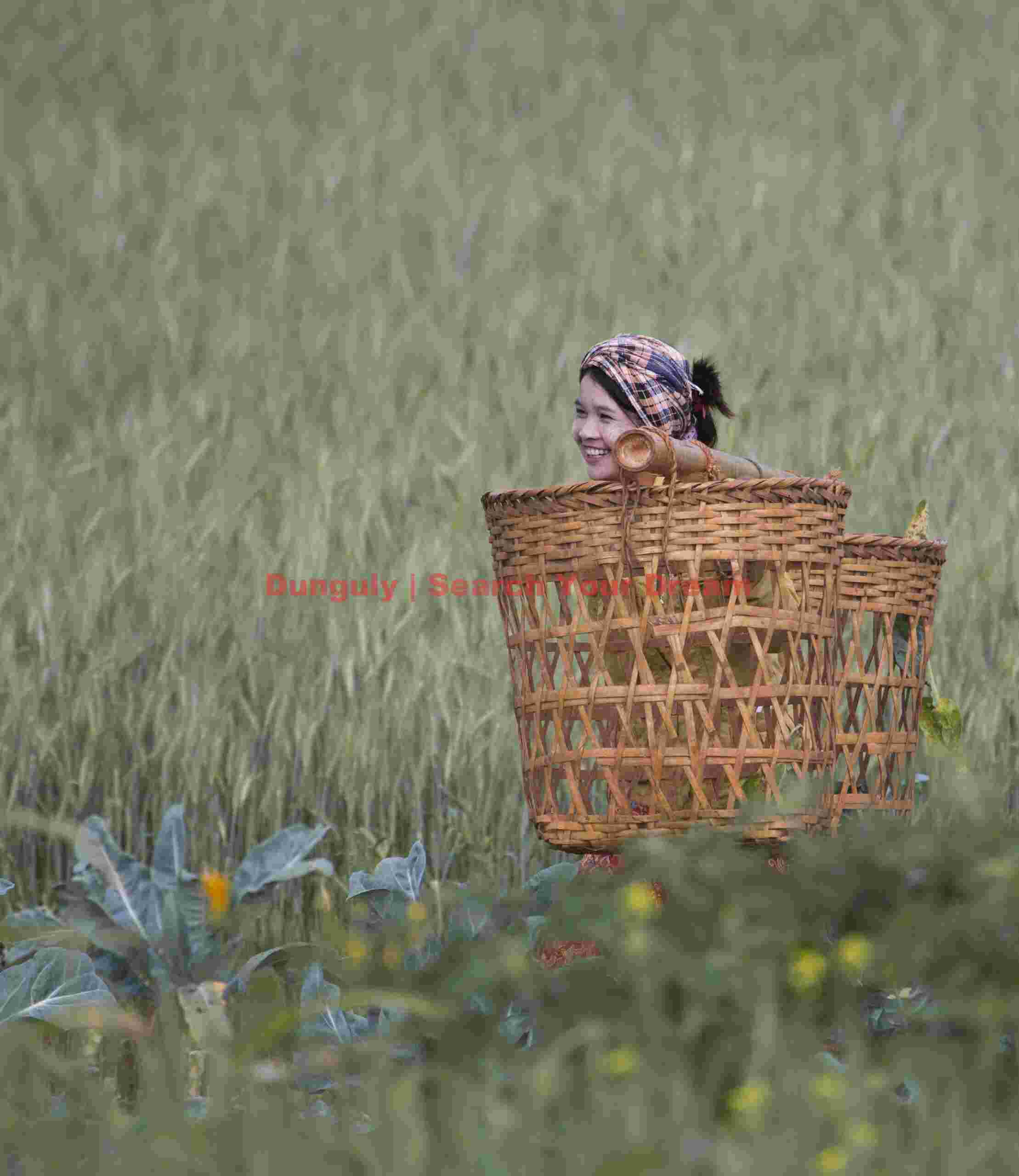 Girl in fields with baskets