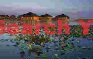 Golden Isles Cottages during the golden time before sunrise