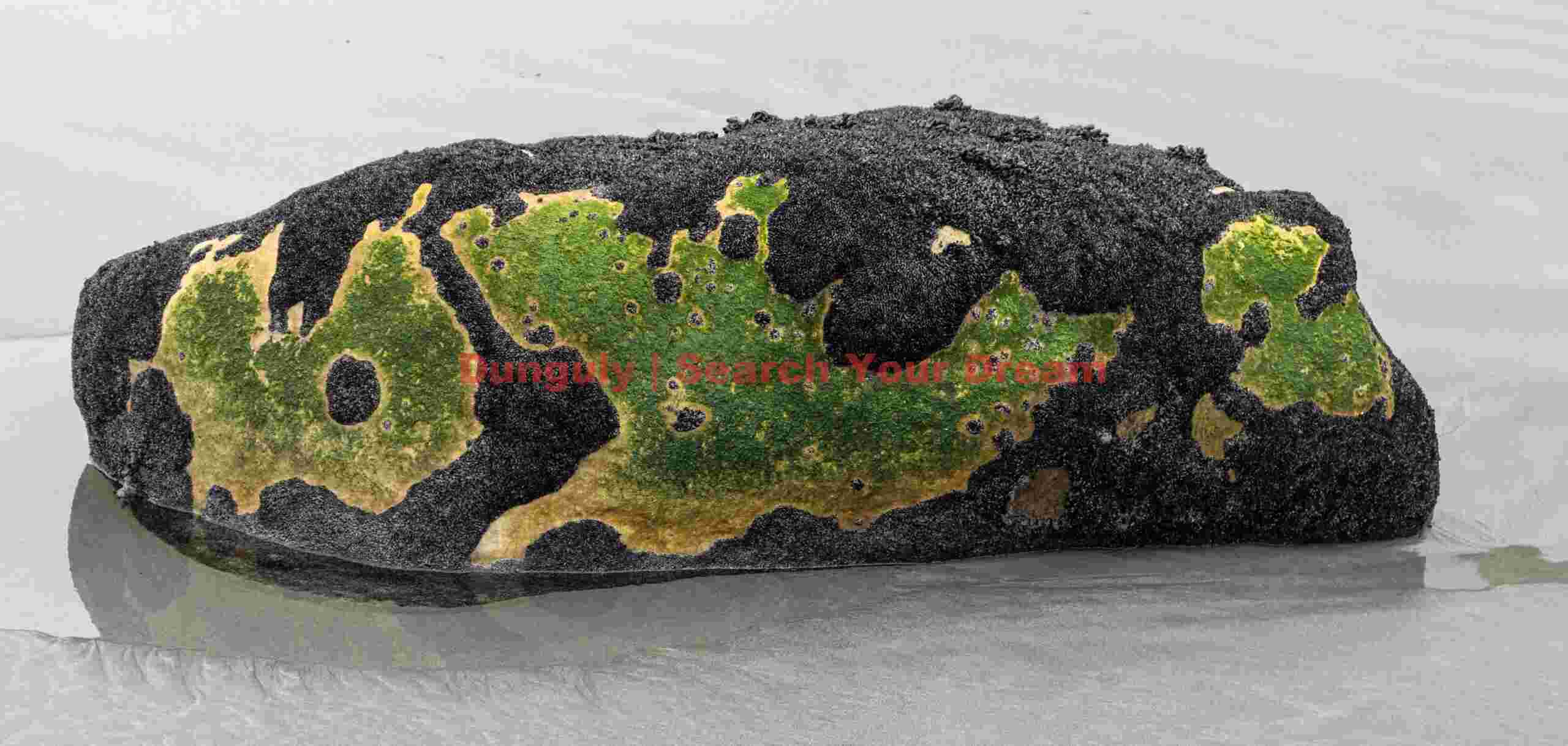 Green abstract on black rock