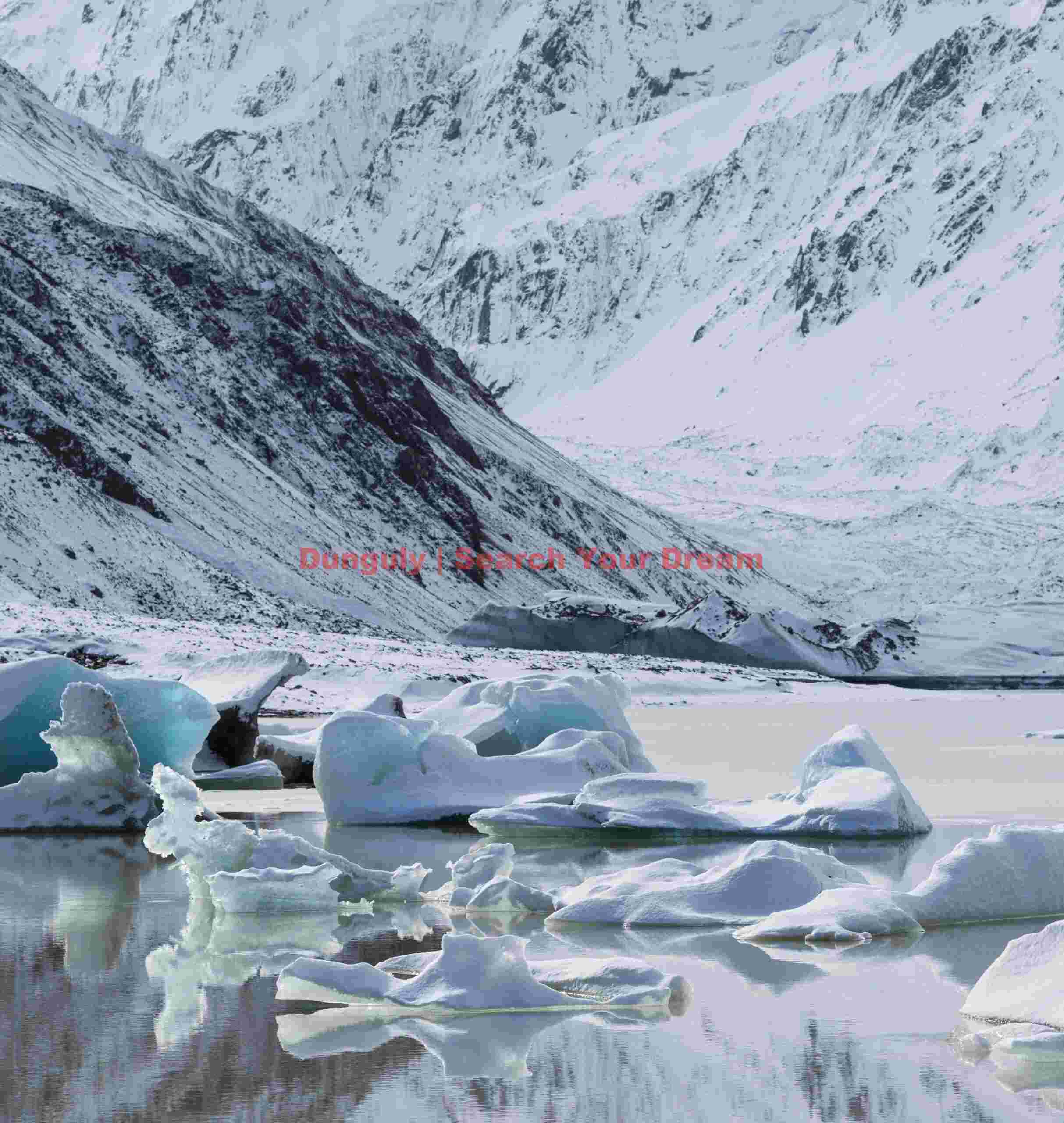 Icebergs near Hooker Lake outflow