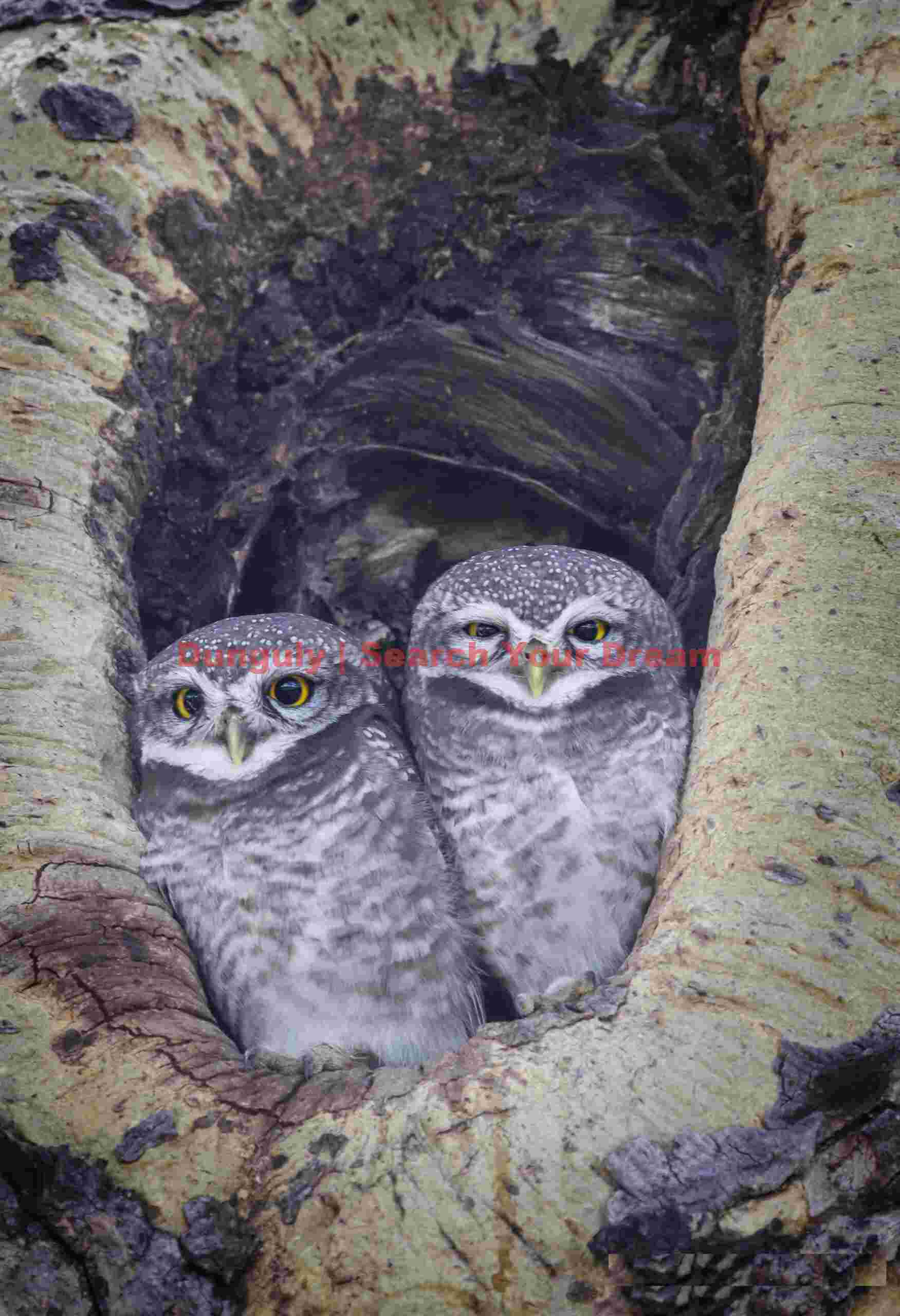 My last photograph from Burma