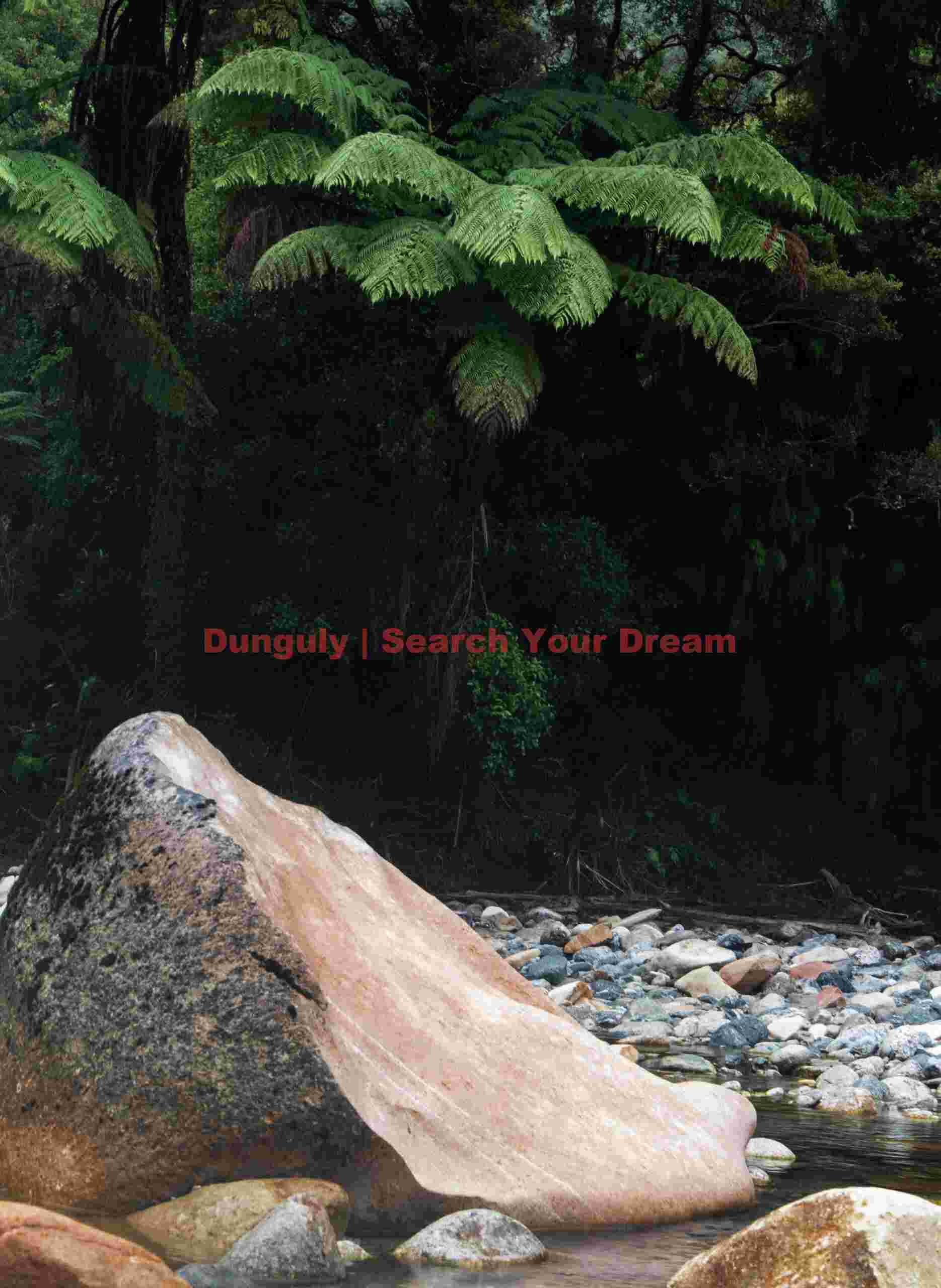 Orange boulder and giant ferns