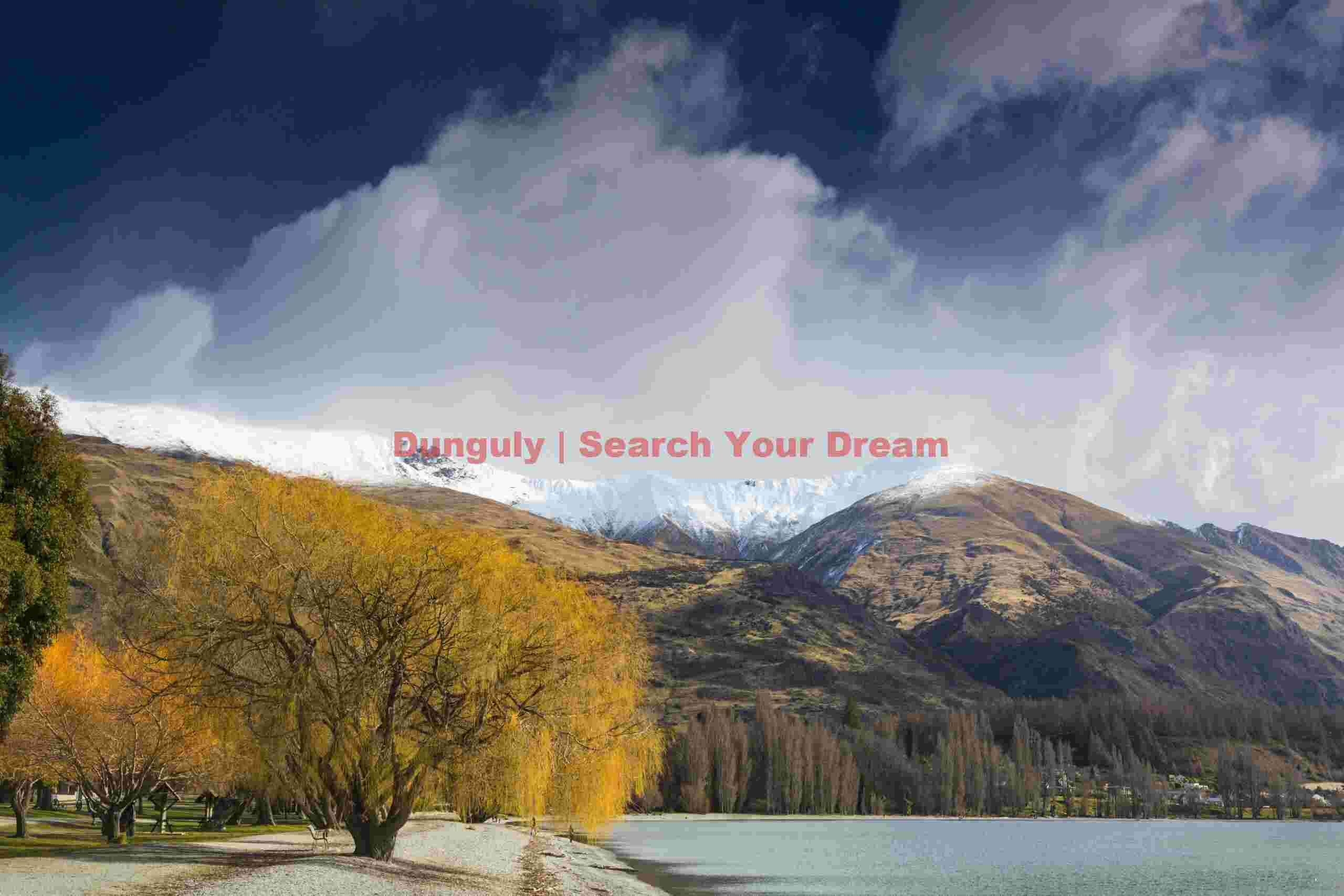 Orange tree at shore of Lake Wanaka