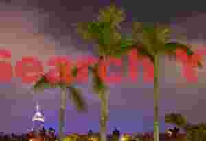 Palm trees and skyscraper - Kowloon