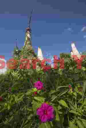 Ruined stupas and flowers