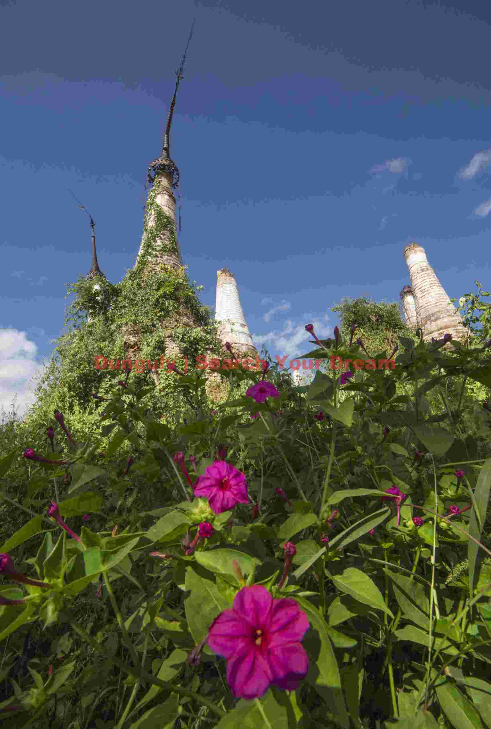 Ruined stupas and flowers