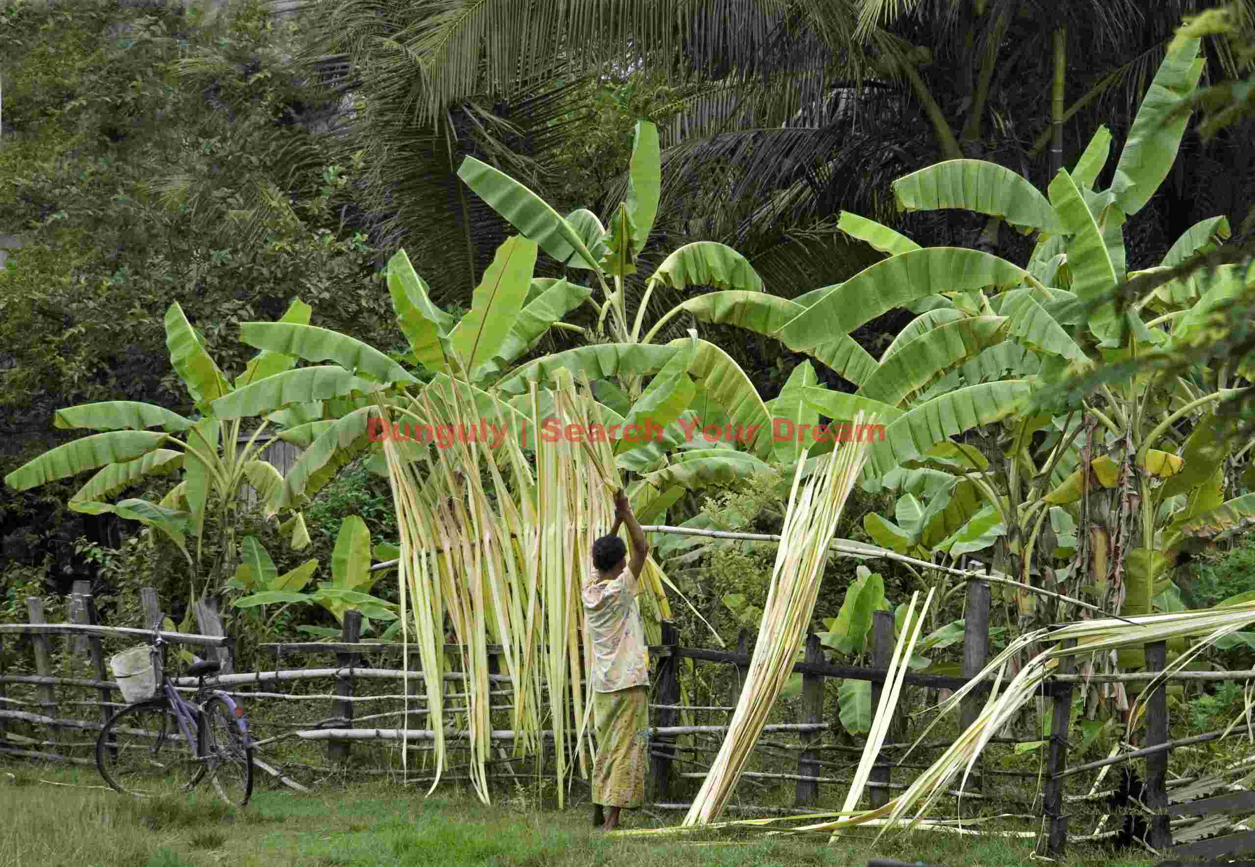 Stacking leaves for thatch