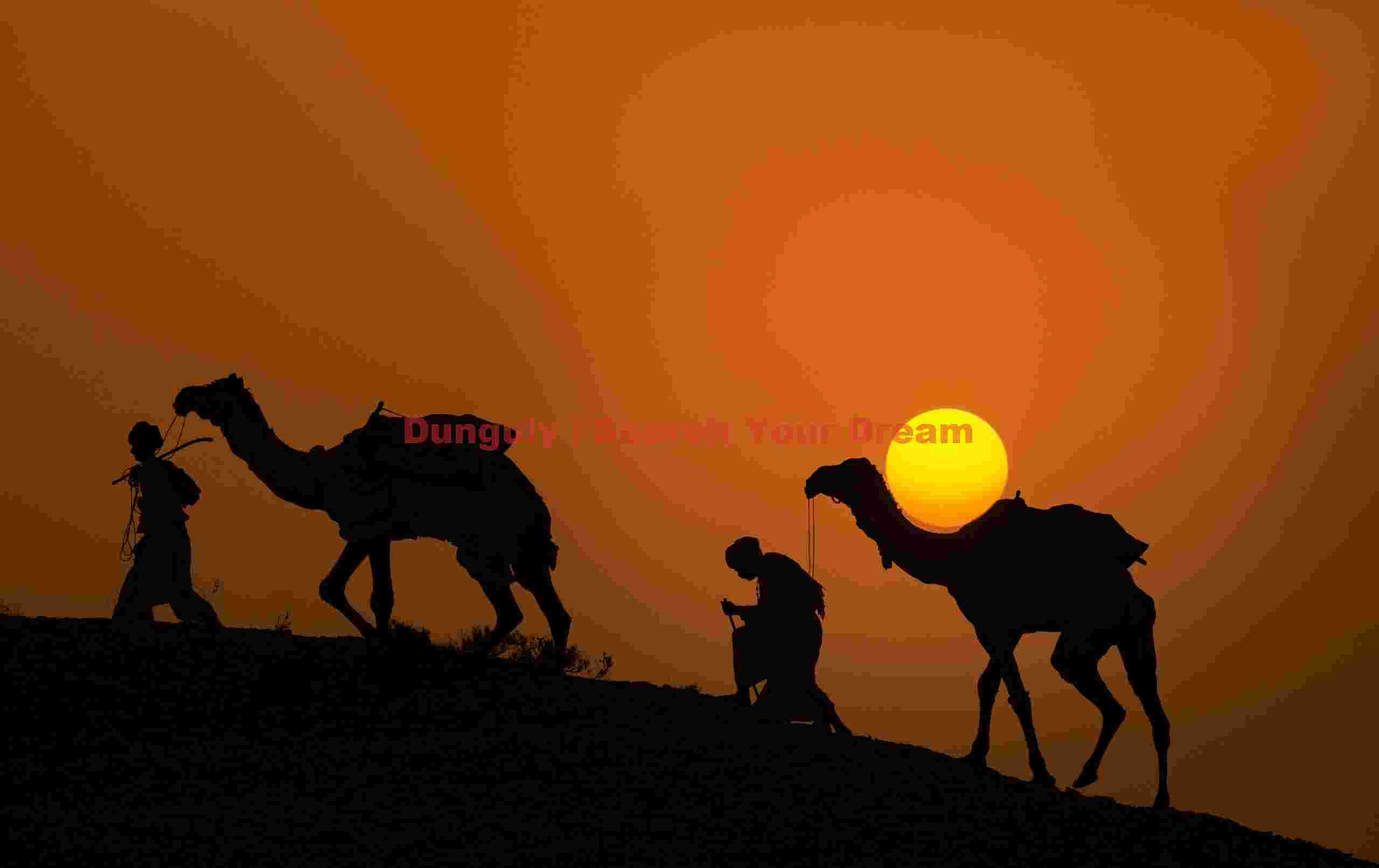 Sunset silhouette of camels climbing hill