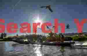 Tourist boat attracting gulls