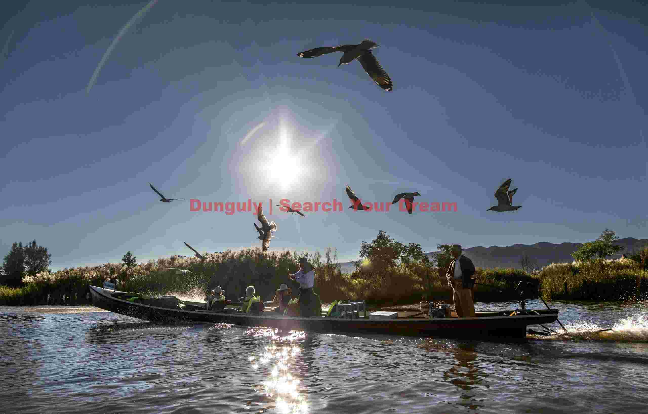 Tourist boat attracting gulls