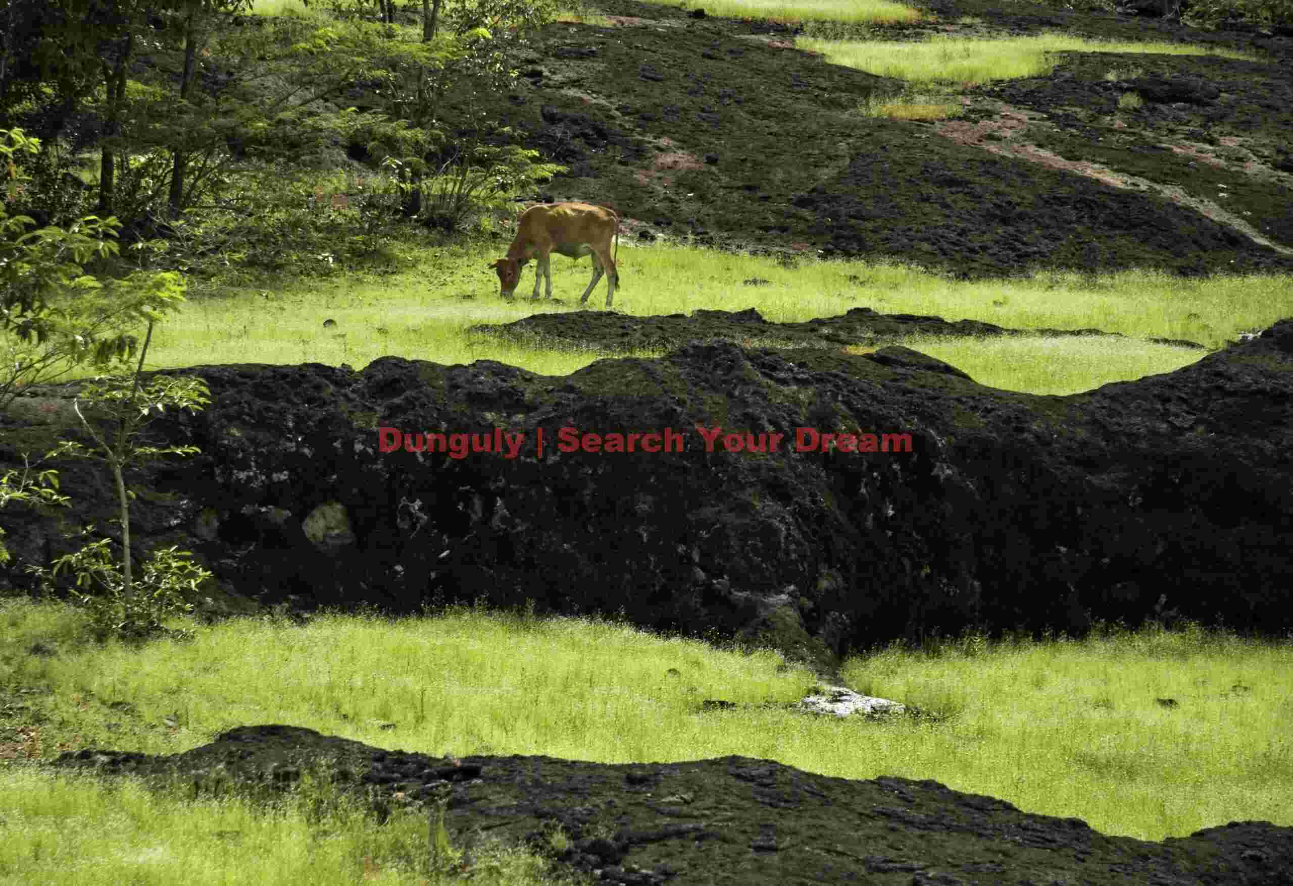 Volcanic tableland above Xe Pian wetlands, Laos